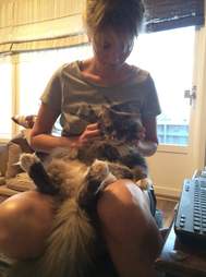 cat loves being held like a baby