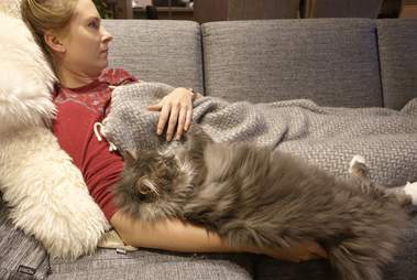 cat loves being held like a baby