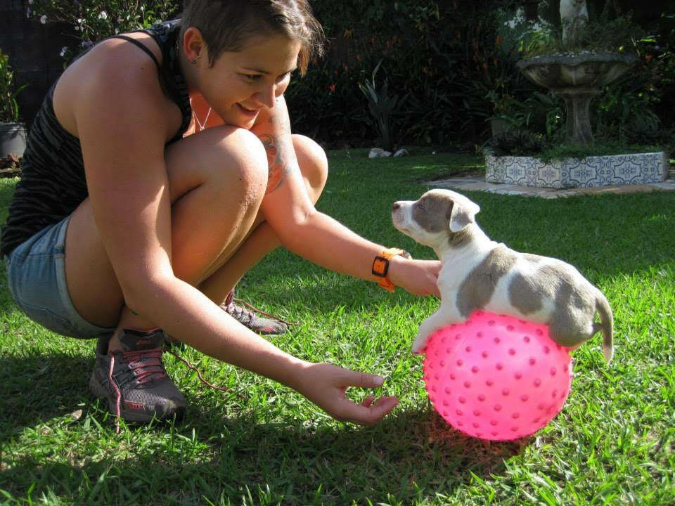 Woman helping dog exercise on exercise ball