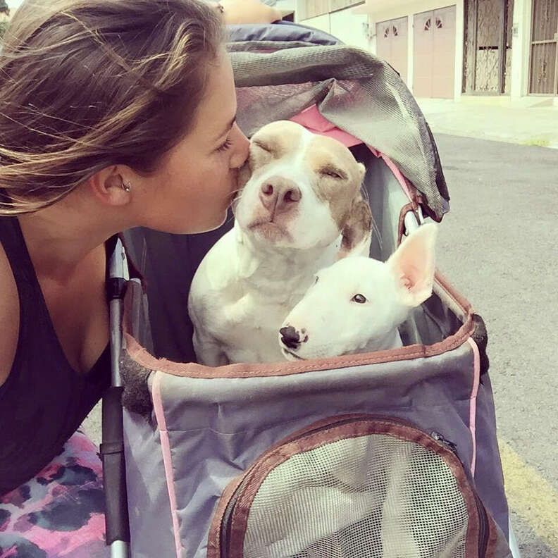 Woman kissing dog in stroller