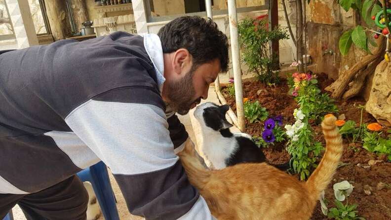Man kissing cats
