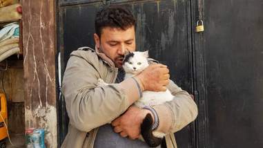 Man hugging cats