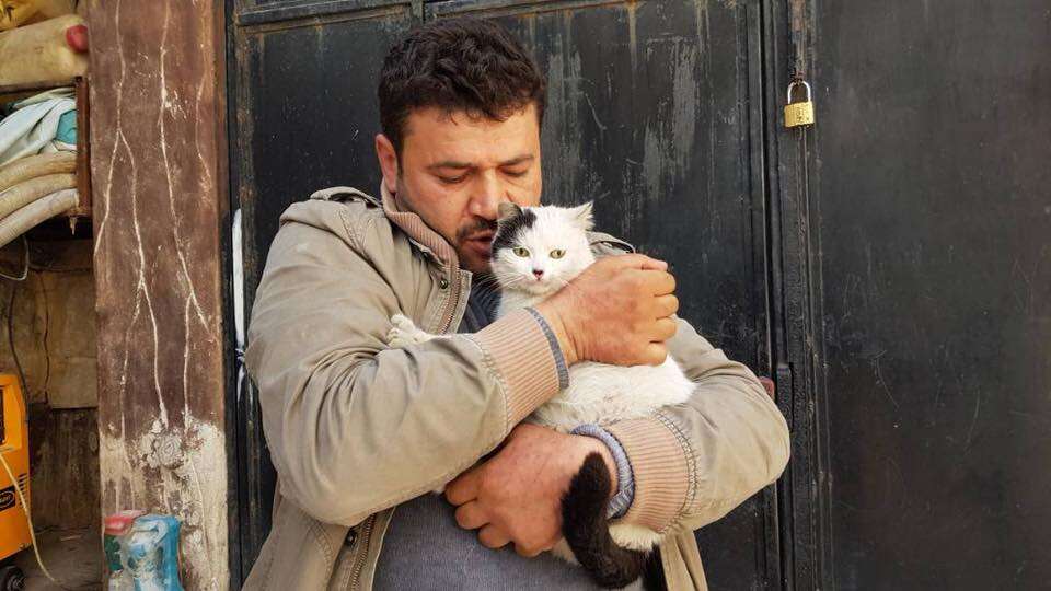 Man hugging cats