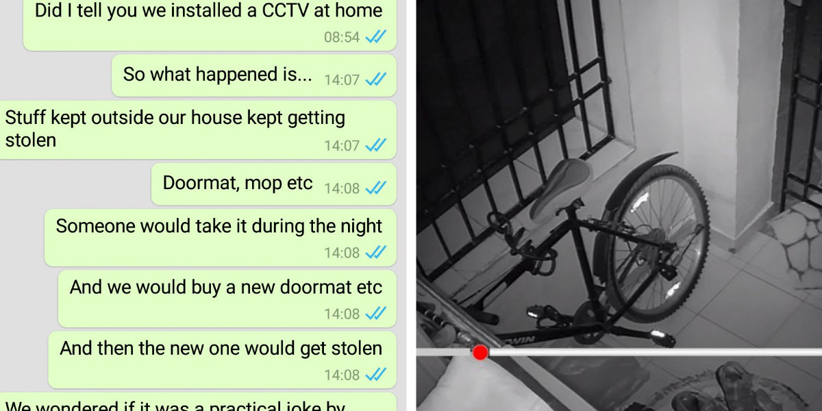 Hidden Camera Catches Dog Stealing Man S Doormat The Dodo