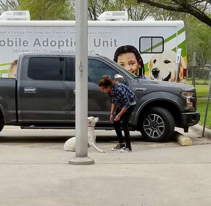 Woman trying to drag dog into animal shelter