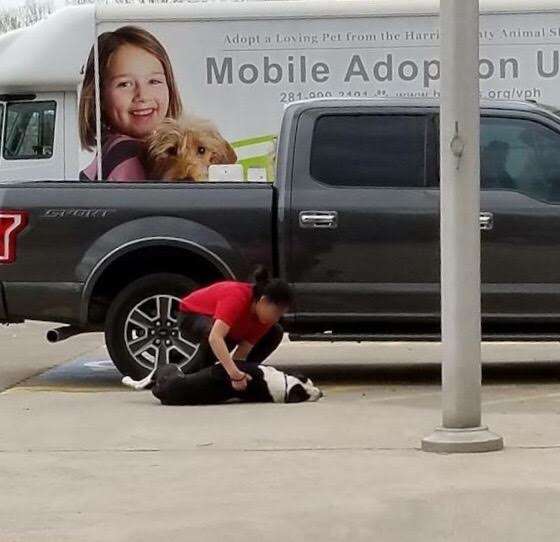 Woman trying to drag dog into animal shelter