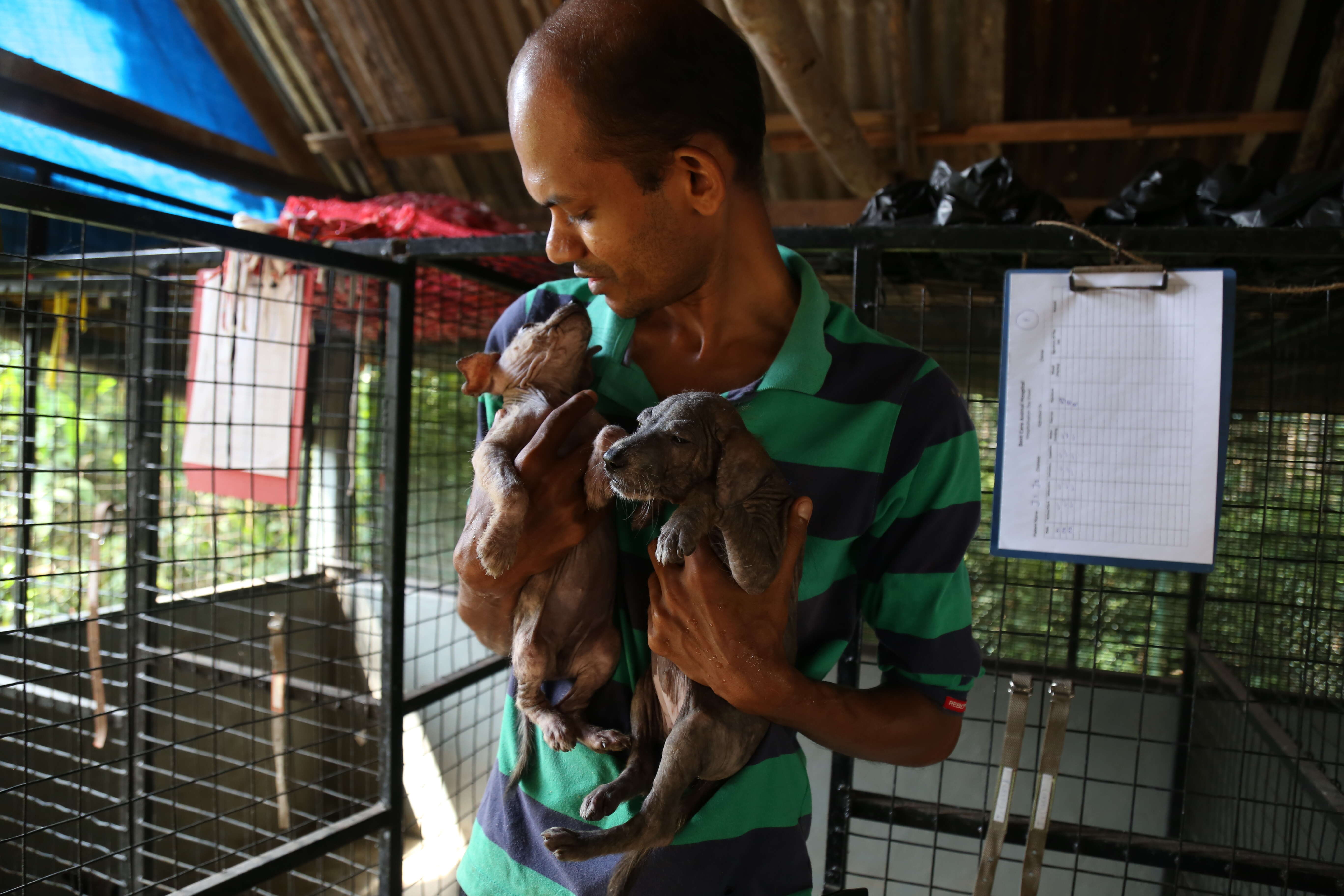 Man holding rescued dogs in his arms