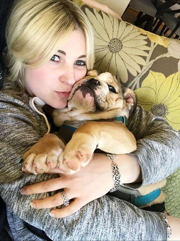 special needs bulldog works at vet practice