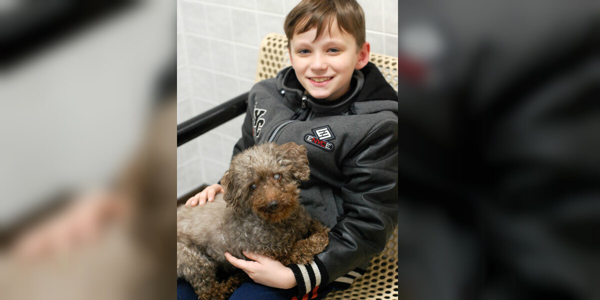 Little Boy Visits Shelter And Adopts The Oldest Dog There