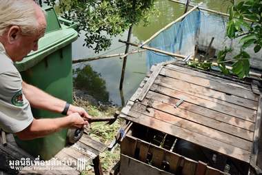 Rescuer pulling monkey out of cage