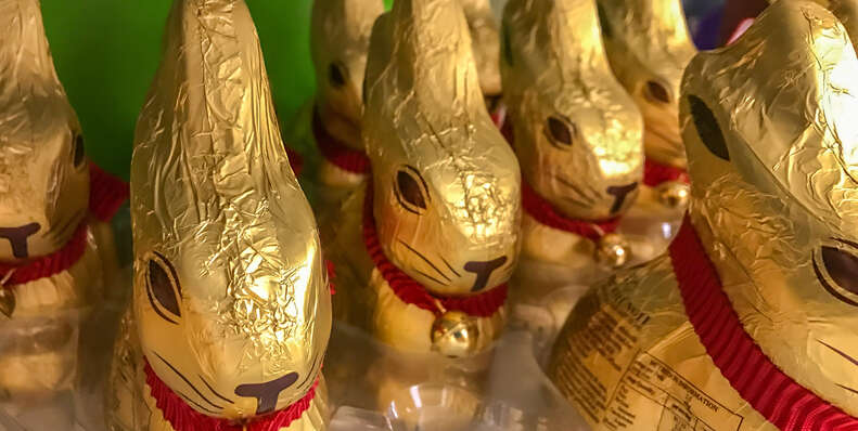 chocolate bunny