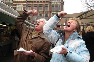 herring in Delft, Netherlands