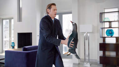 jim carrey in mr. popper's penguins