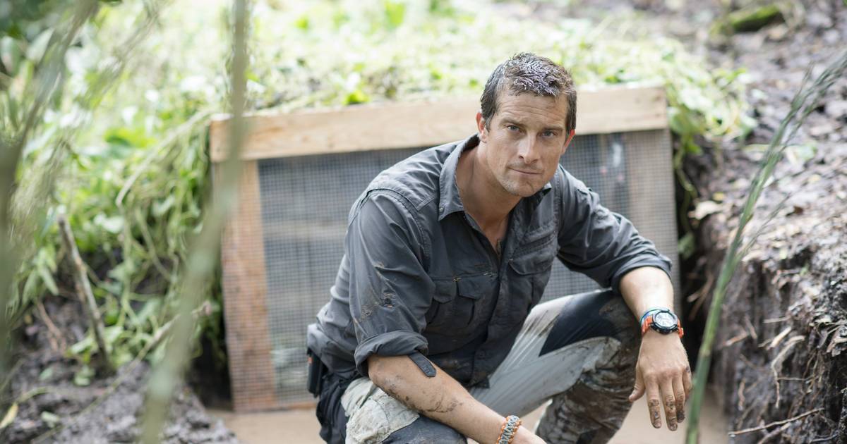 Bear Grylls: 'You don't need muscles or good looks' – The Irish Times