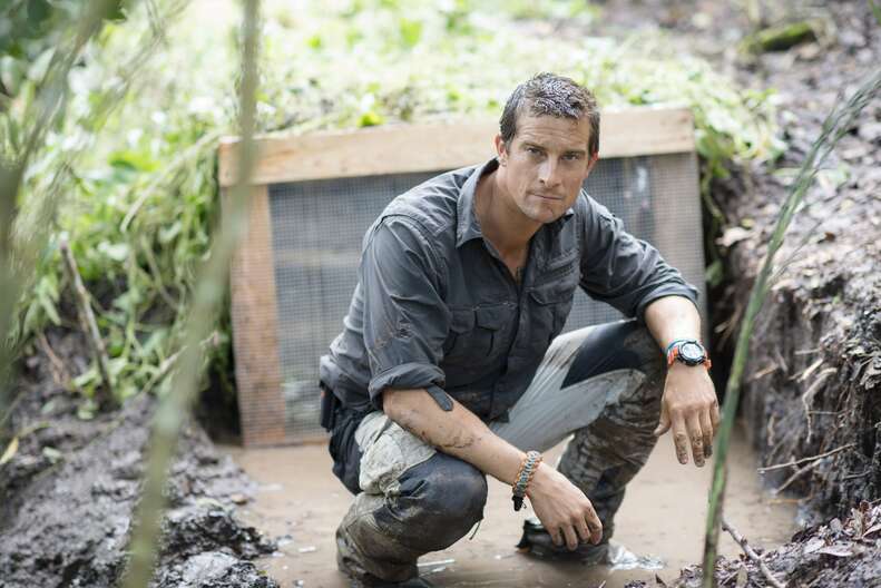 bear grylls face the wild