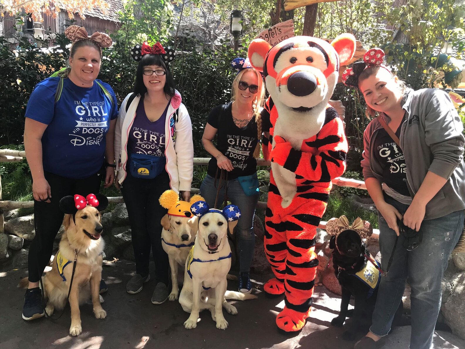 Service Dogs In Training Take Adorable Field Trip To Disneyland - The Dodo