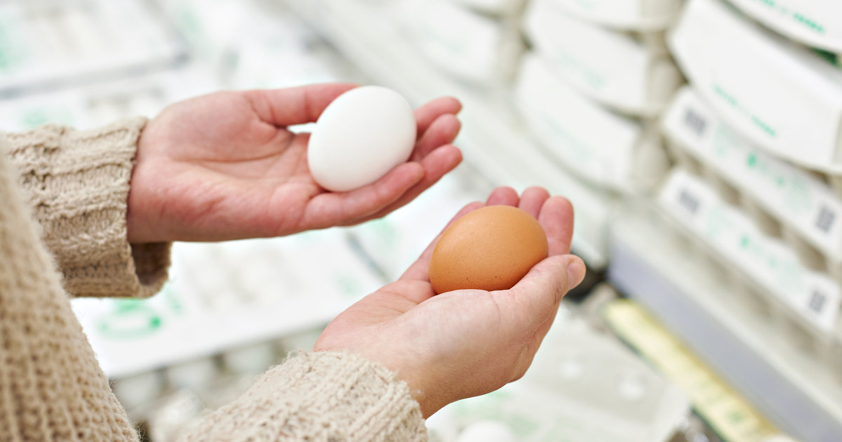 Fresh Egg Test How to Tell if Eggs Are Fresh at the Grocery Store