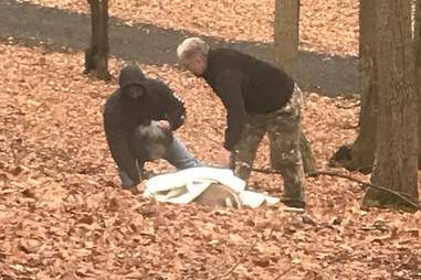 Deer is sedated by the SPCA