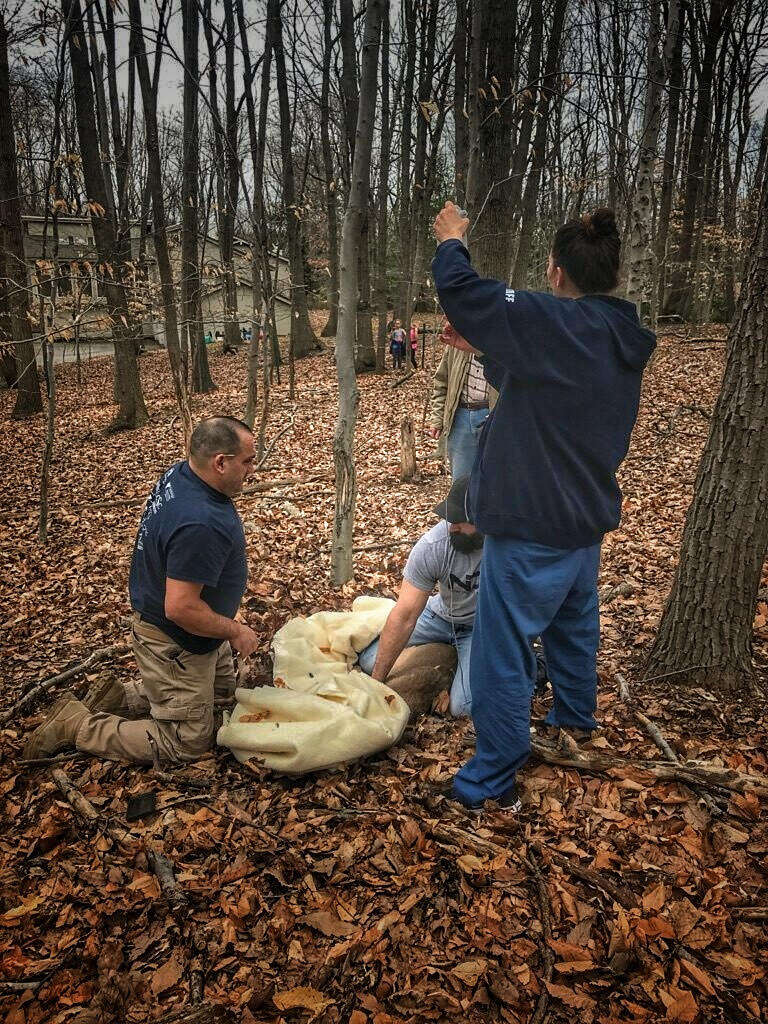 Deer receives IV fluids