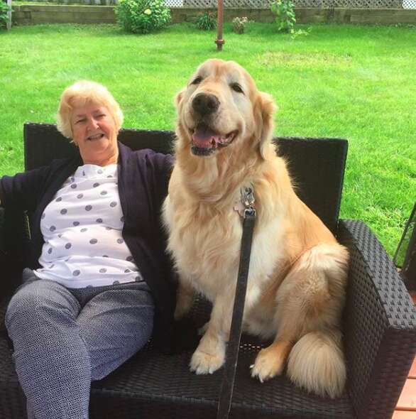 dog visits neighbor every day