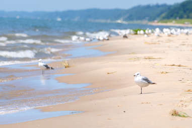 Kirk Park Beach