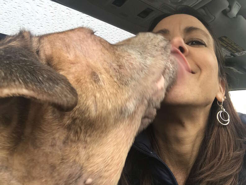 Foster dog kisses foster mom
