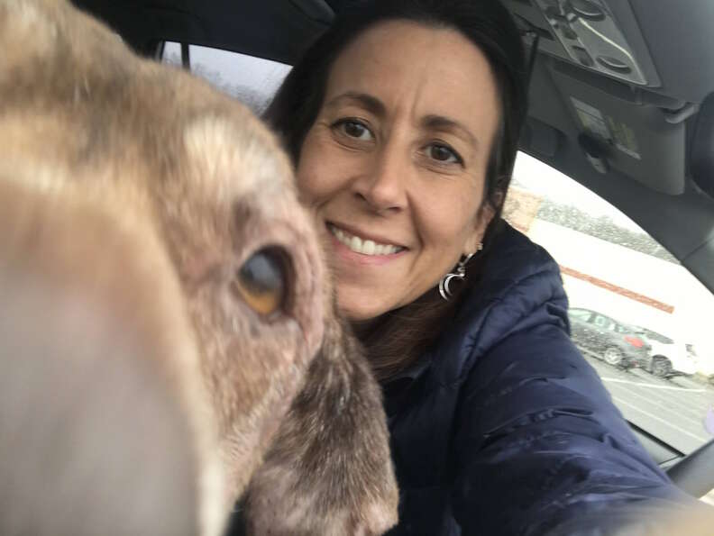 Fospice senior dog with foster mom