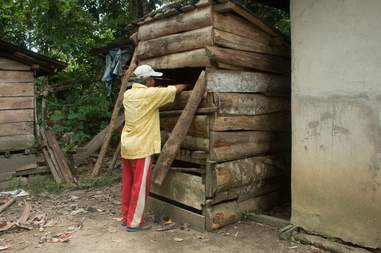 Man looking at orangutan inside box