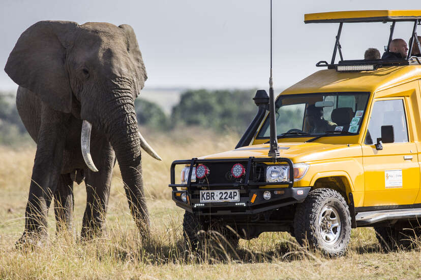 Where to go for your first safari in Africa - Lonely Planet