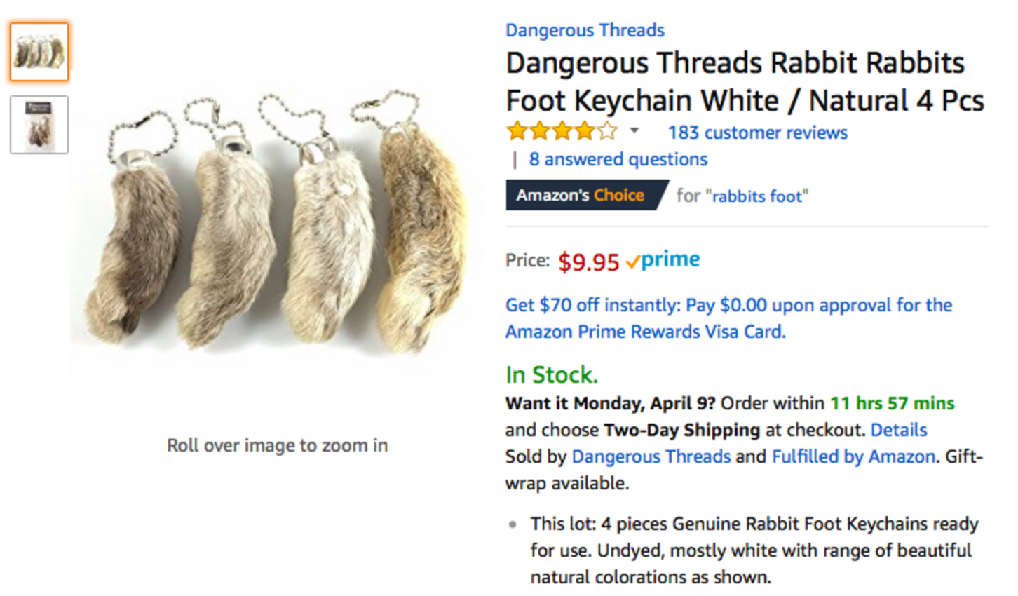 Rabbit Lovers Urge Amazon To Stop Selling Bunny Feet - The Dodo