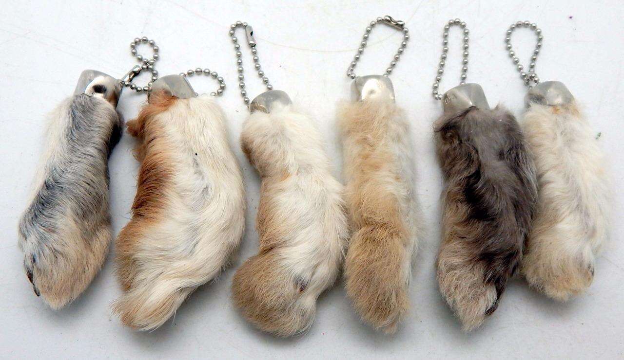 rabbit feet amazon cruelty