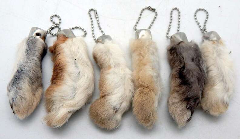 Real rabbit hot sale foot keychain