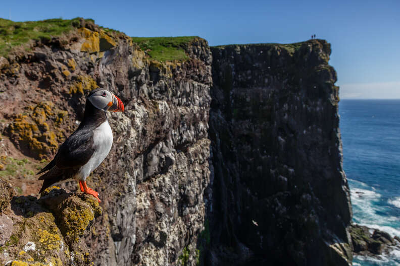 Latrabjarg