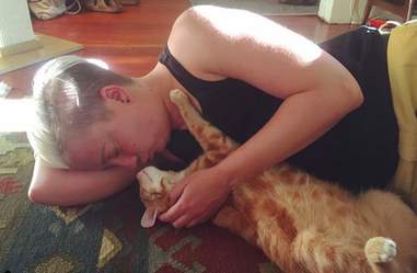 Cat getting snuggled by person