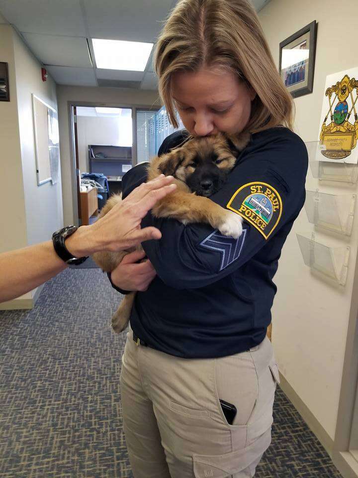 fuzz comfort dog police minnesota