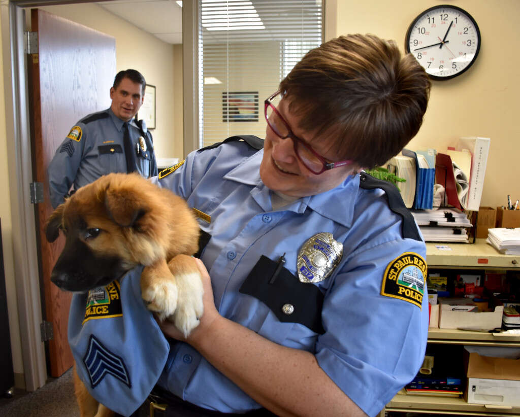 comfort dog police fuzz