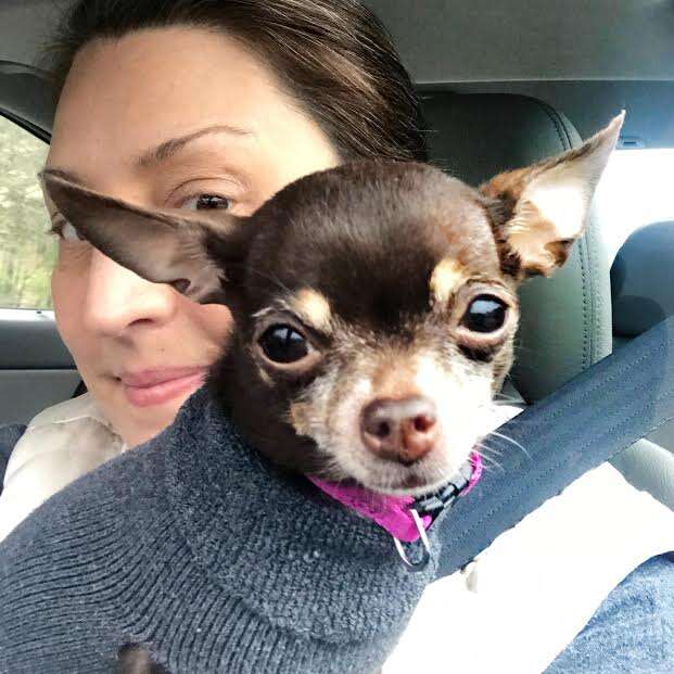 Woman holding one of her rescue dogs in the car