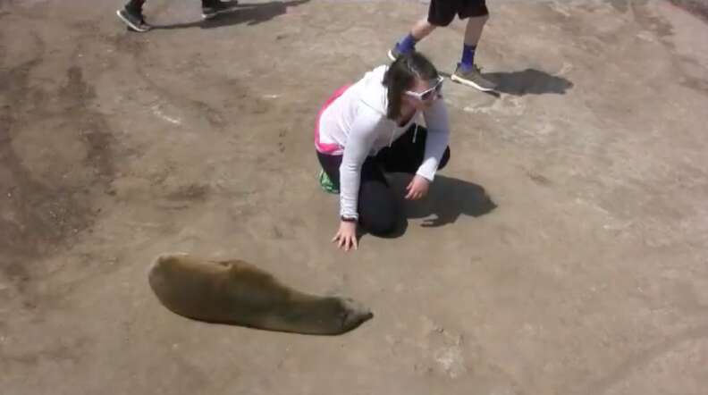 Man caught illegally petting sea lion pup in La Jolla