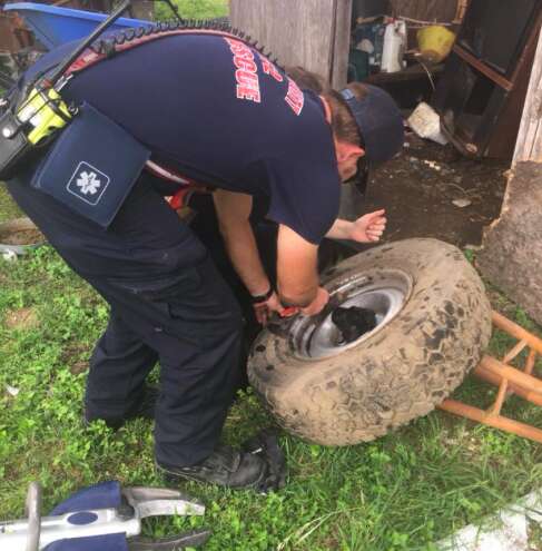 rescue puppy texas tire