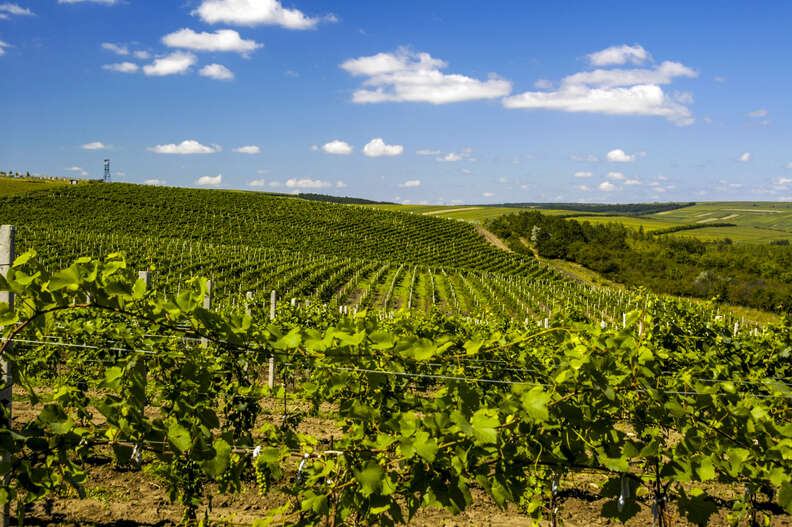 Cricova winery, Moldova