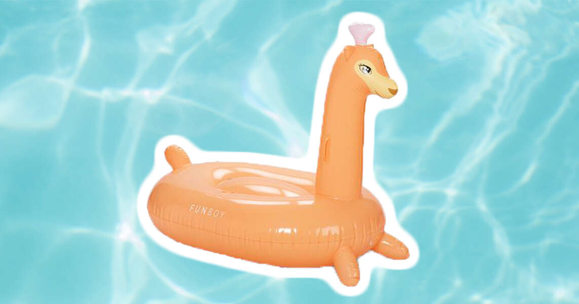 llama pool toy