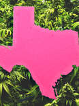 texas weed
