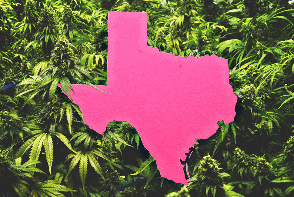 How To Get Medical Marijuana In Texas Where To Buy Legal - 