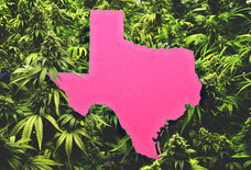 How to Navigate Texas' Confusing Medical Marijuana Laws