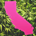 legal weed california