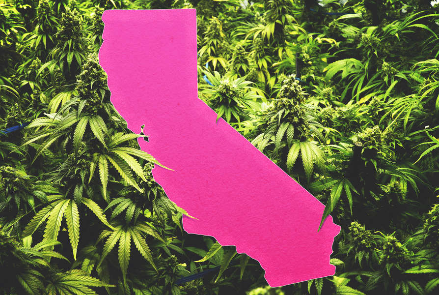 How To Get Medical Marijuana In California Where To Buy Legal Weed Thrillist