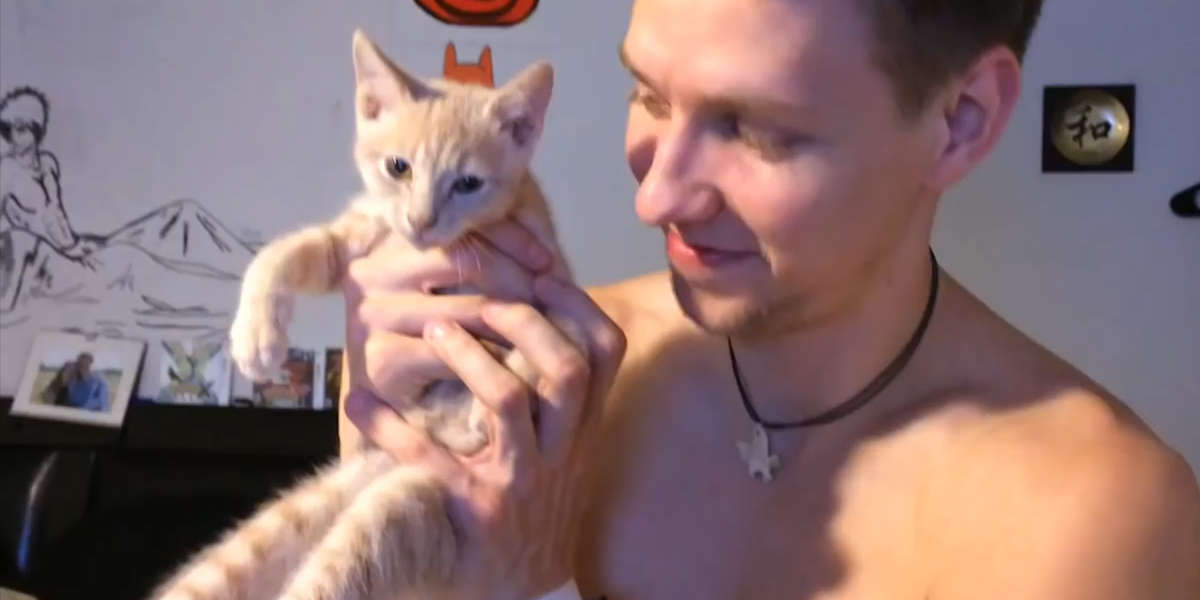Kitten Cries Whenever You Stop Petting Her - Videos - The Dodo