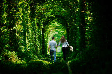 The Most Beautiful Place in Every European Country 48 The Tunnel of Love, Ukraine