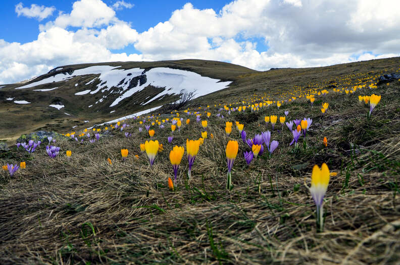 Sharr Mountains, Kosovo