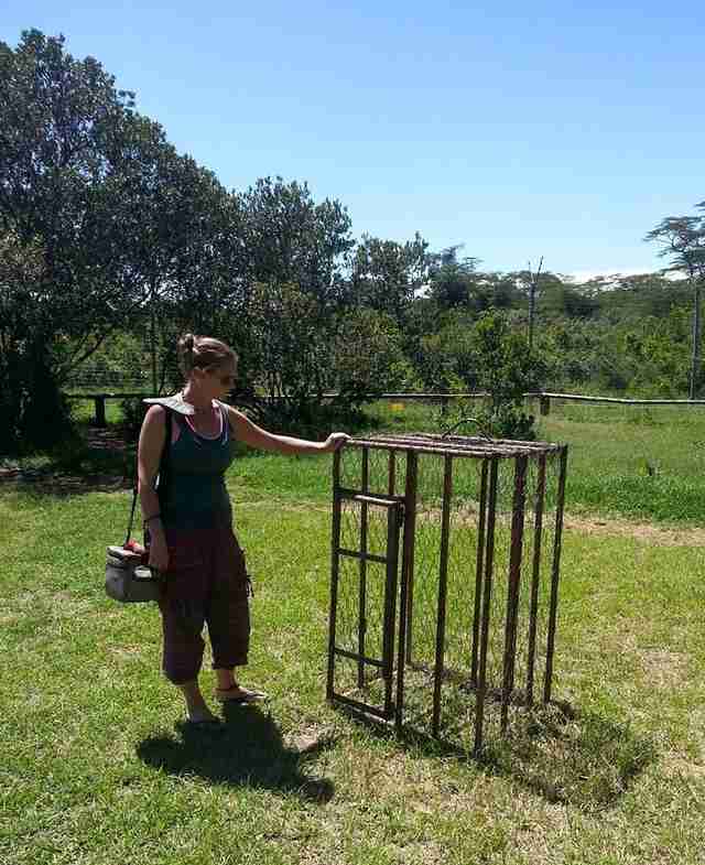 Woman looking at cage that imprisoned chimp